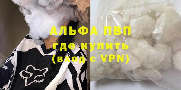 гашик Абаза