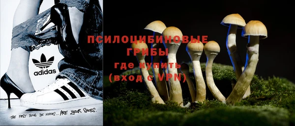 гашик Абаза