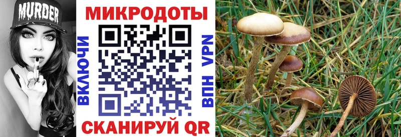 купить наркотик  Прокопьевск  Псилоцибиновые грибы MAGIC MUSHROOMS 