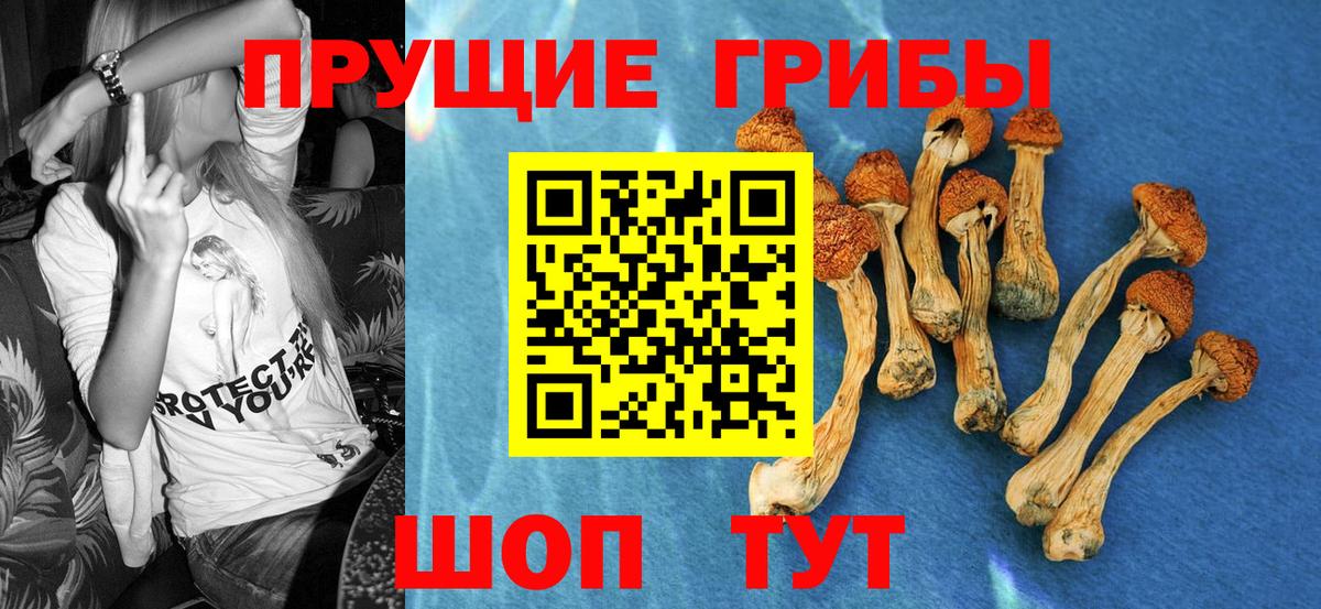 Галлюциногенные грибы ЛСД Прокопьевск