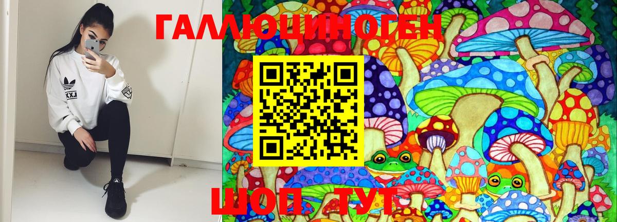Прокопьевск  хочу   Вход с VPN  Псилоцибиновые грибы Psilocybe 