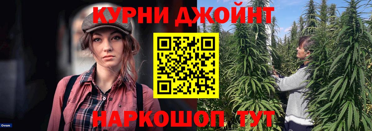 Шишки марихуана ГИДРОПОН  Бошки марихуана SATIVA & INDICA  Прокопьевск  Шишки марихуана Bruce Banner  Вход с VPN  Конопля план 